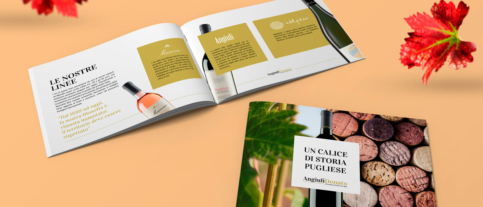 angiuli header interno 4 - Magistro & Creativi Associati