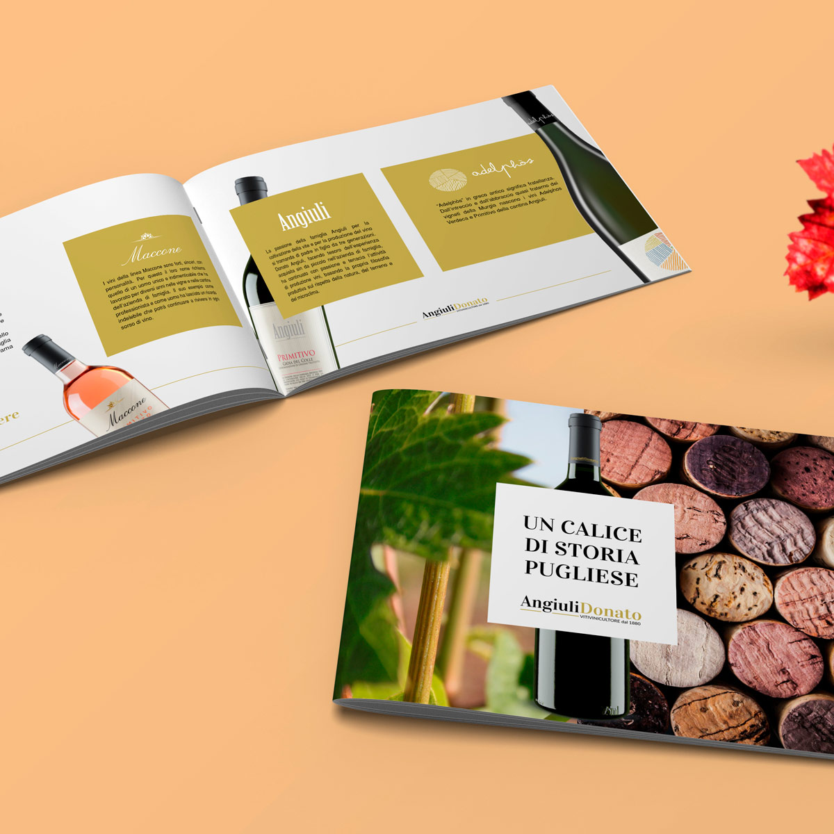 angiuli - Magistro & Creativi Associati