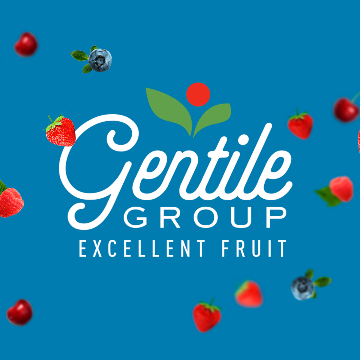 gentile - Magistro & Creativi Associati