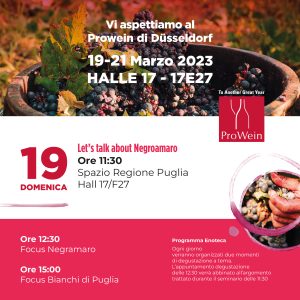 Magistro x prowine 02 1 - Magistro & Creativi Associati