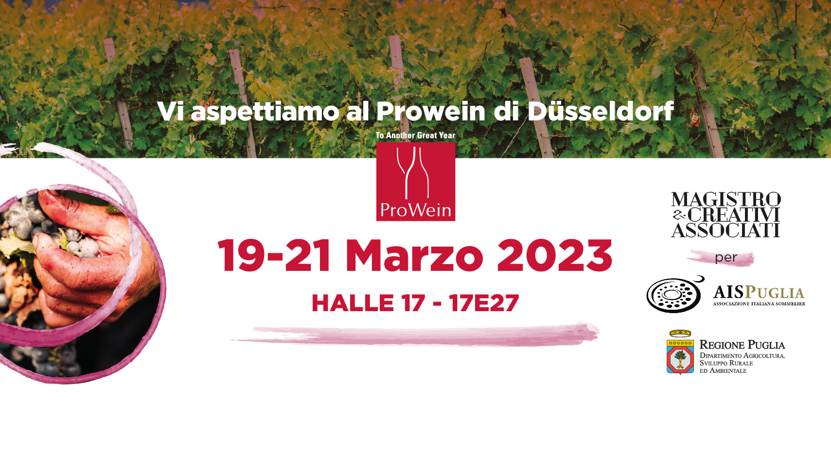 Prowine Copertina Facebook Tavola disegno 1 - Magistro & Creativi Associati